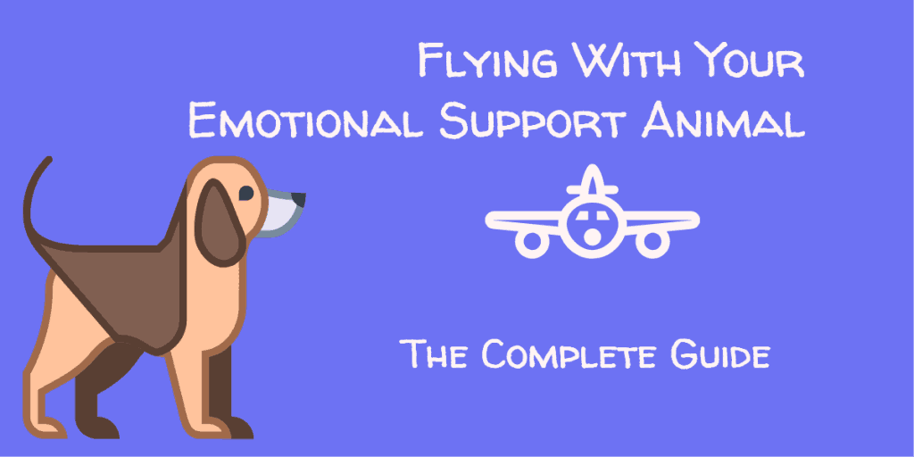 Flying With Your Emotional Support Animal: The Complete Guide